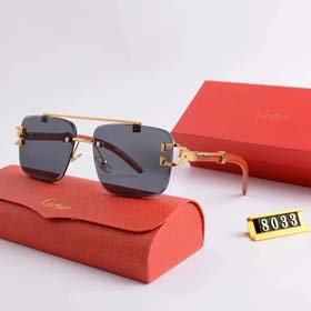 Gafas de sol de moda (10 + estilos) -1553  